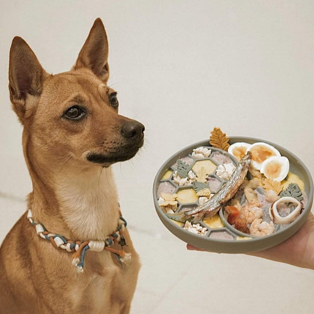 OMOM 寵物舔食墊-蜂巢海洋 雙功能款